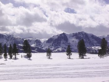 Mammoth Lakes