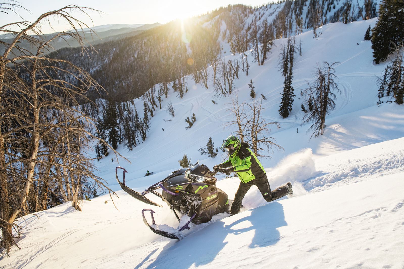 2019 M 8000 Mountain Cat Alpha One The new paradigm of