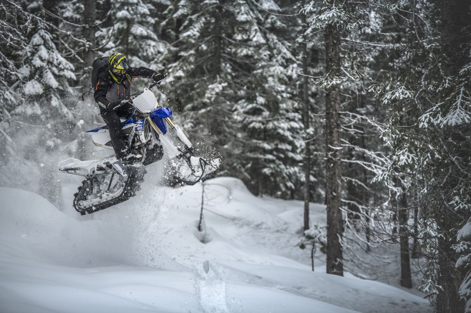2019 Timbersled Lineup Features RaceProven SX, Premium, Limited