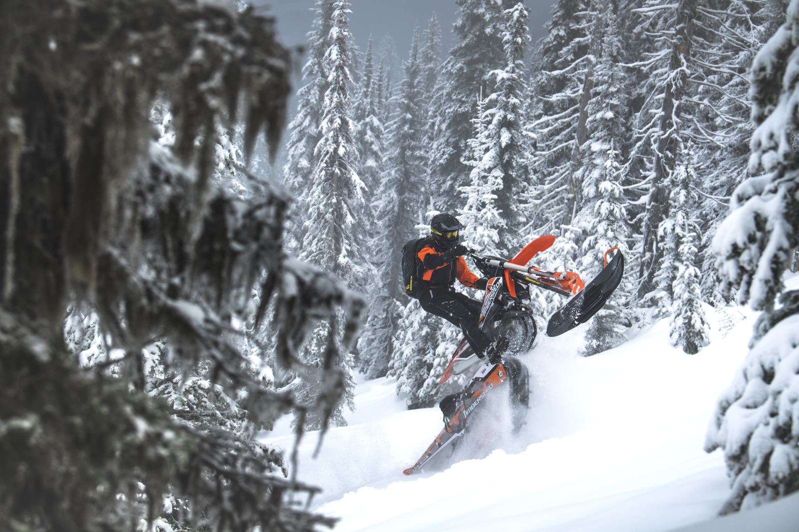 2019 Timbersled Lineup Features RaceProven SX, Premium, Limited