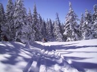 snowies 1-28-11 009.jpg