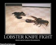 lobster-knife-fight-demotivational-poster.jpg