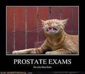 prostate.jpg
