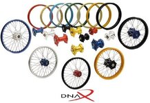 DNA Wheels.jpg