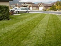 Lawn4.jpg