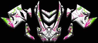 Skidoo REV XP E-Tech 800 - Butterfly Grunge.jpg
