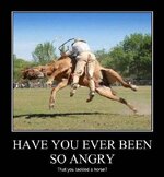 have-you-ever-been-so-angry-tackled-horse.jpg