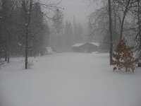 08 snowstorm 3 002.JPG