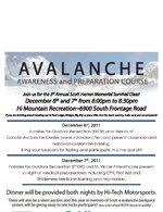 Avalanche Poster 2011.jpg