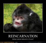 demotivational-posters-reincarnation.jpg