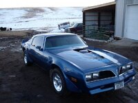 trans am.jpg trans am.jpg
