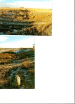 scan0010.jpg