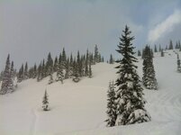 IMG_3324.jpg IMG_3324.jpg