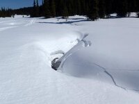 march snow on moose mnt..jpg