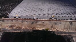IMAG0374.jpg
