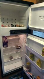 IMAG0030.jpg