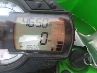 IMG_0593.jpg