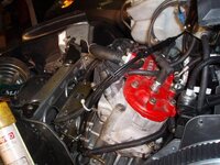 PC210039 (Medium).JPG PC210039 (Medium).JPG
