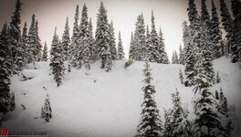 IMG_7656.jpg