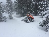 IMG_1601.jpg