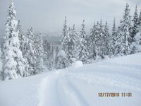 IMG_9265.jpg