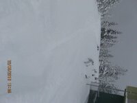 IMG_9195.jpg IMG_9195.jpg