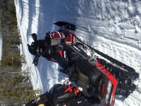 IMG_2349.jpg