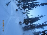 IMG_9570.jpg