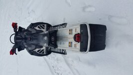 IMG_0810.jpg IMG_0810.jpg
