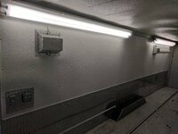 IMG_20170927_101036.jpg
