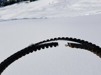 20171206_134920.jpg