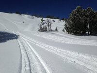 IMG_2762.jpg