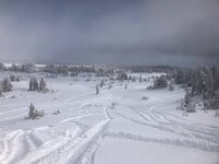 IMG_1646.JPEG