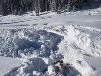 20181202_140256.jpg