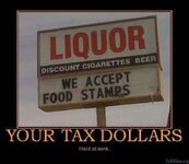 your_tax_dollars.jpg