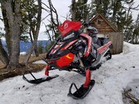 sled pic resized 19.jpg
