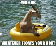 Goat.jpg