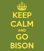 Go Bison.jpg