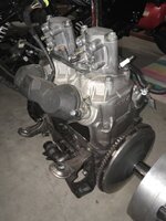 IMG_4255.jpg
