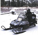 bearcat04.jpg
