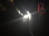 9F7CA2ED-27BE-4794-915E-9765EF811CBE.jpeg