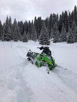 IMG_1771.jpg