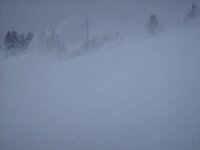 White Out Trinities 2.jpg