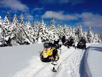 IMG_0527.jpg IMG_0527.jpg