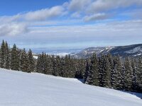 IMG_3981.JPG