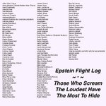 epstein flight log.jpg
