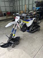 Husky 2 .jpg