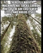 1693410993779.png