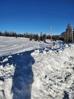 20231127_084026.jpg