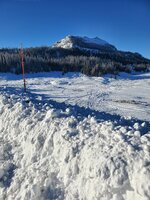20231127_084031.jpg